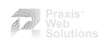 Praxis 5